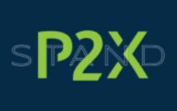 P2X