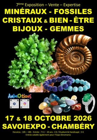 Salon Minéraux et Fossiles