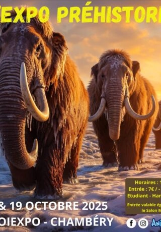 Expo Préhistoric